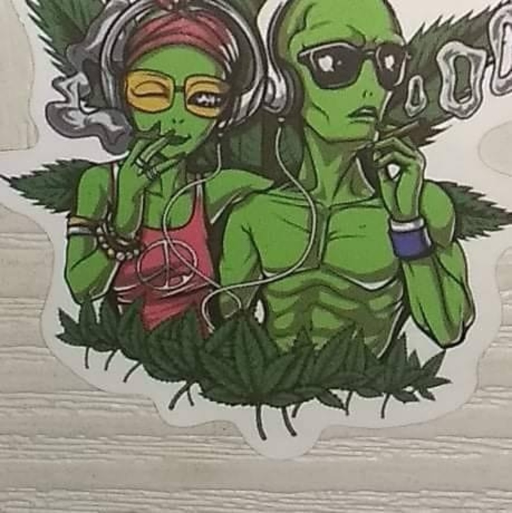 Meet your Posher, Back